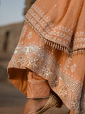 MANN MOHAK | Tissue Chanderi Anarkali in Soft Peach Brown Tone