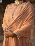 MANN MOHAK | Tissue Chanderi Anarkali in Soft Peach Brown Tone
