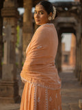 MANN MOHAK | Tissue Chanderi Anarkali in Soft Peach Brown Tone